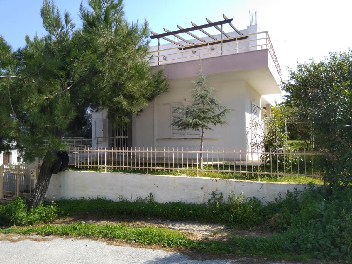 Thanasis Villa Κουνουπιδιανά Εξωτερικό φωτογραφία
